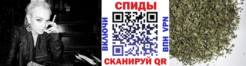 Бутират буратино  Багратионовск 