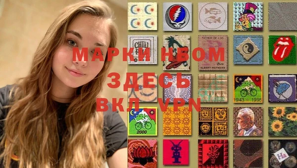 стафф Алексин