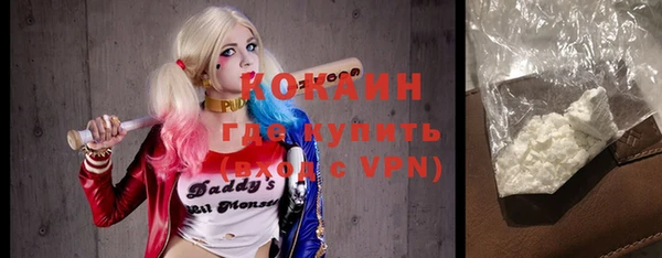 стафф Алексин