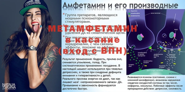 стафф Алексин