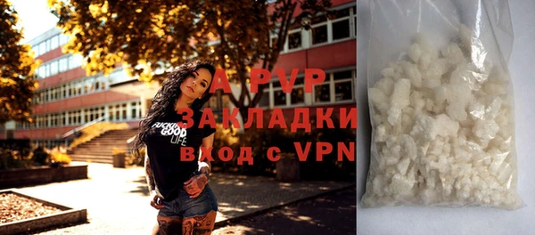 стафф Алексин