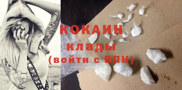 стафф Алексин