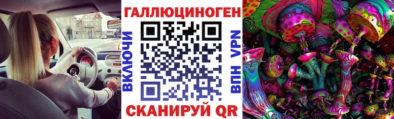 мега вход  маркетплейс клад  Галлюциногенные грибы прущие грибы  Багратионовск 